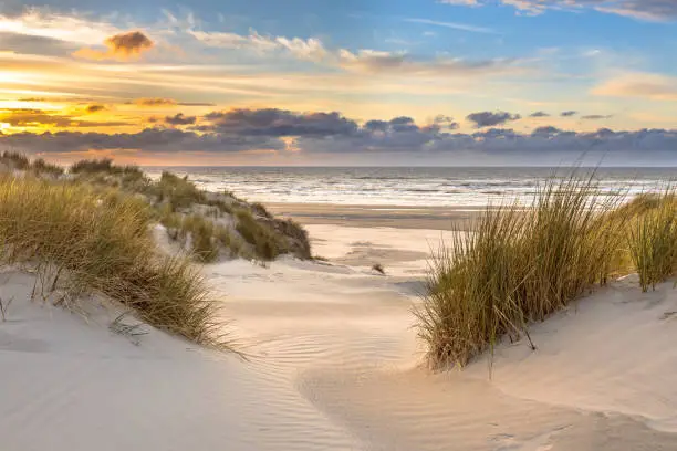 Castricum duin en stranddag